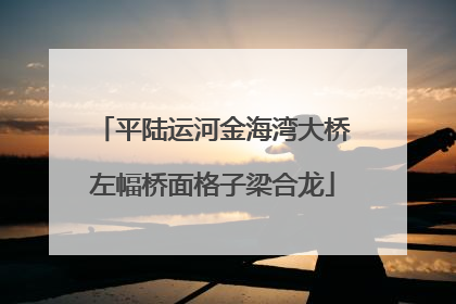 平陆运河金海湾大桥左幅桥面格子梁合龙